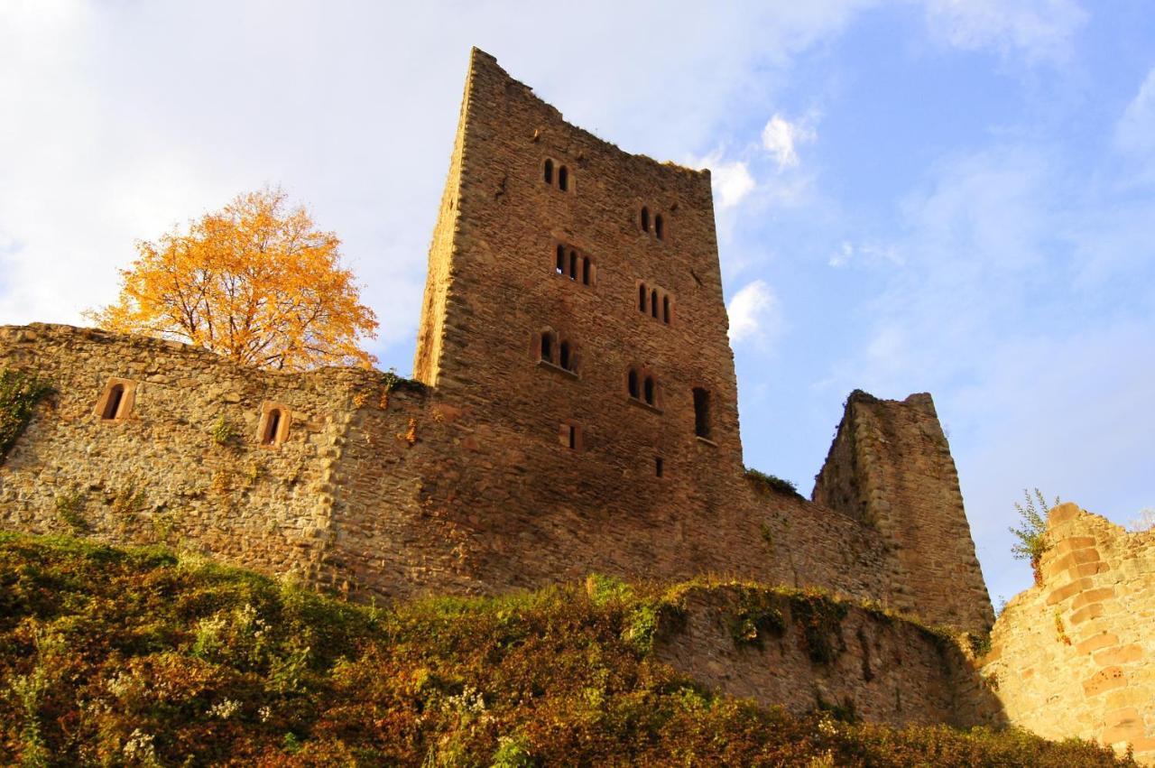 Schauenburgblick Oberkirch (Baden) Exterior foto